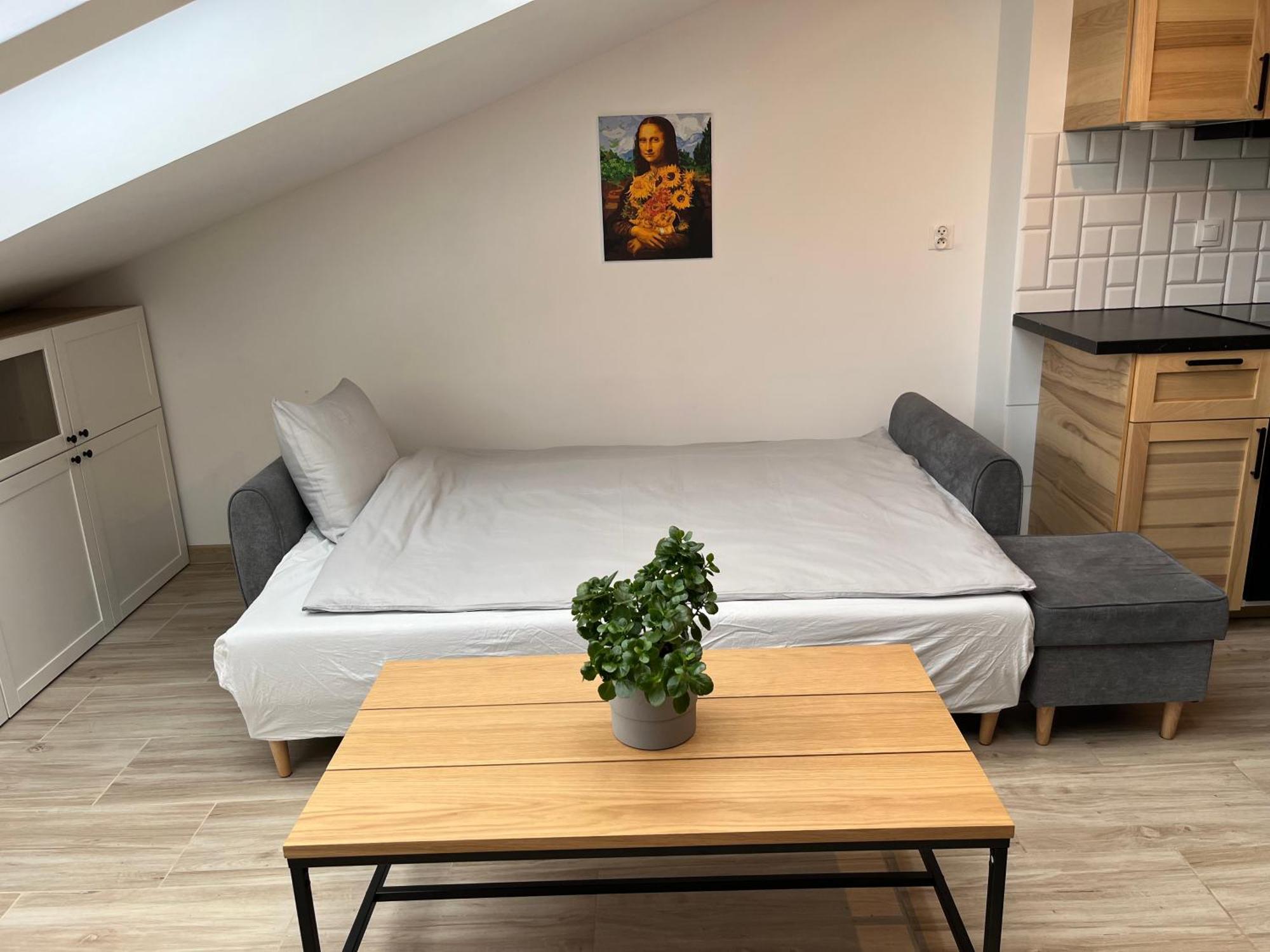 Feelhome Apartment With Kitchen Krasków Εξωτερικό φωτογραφία