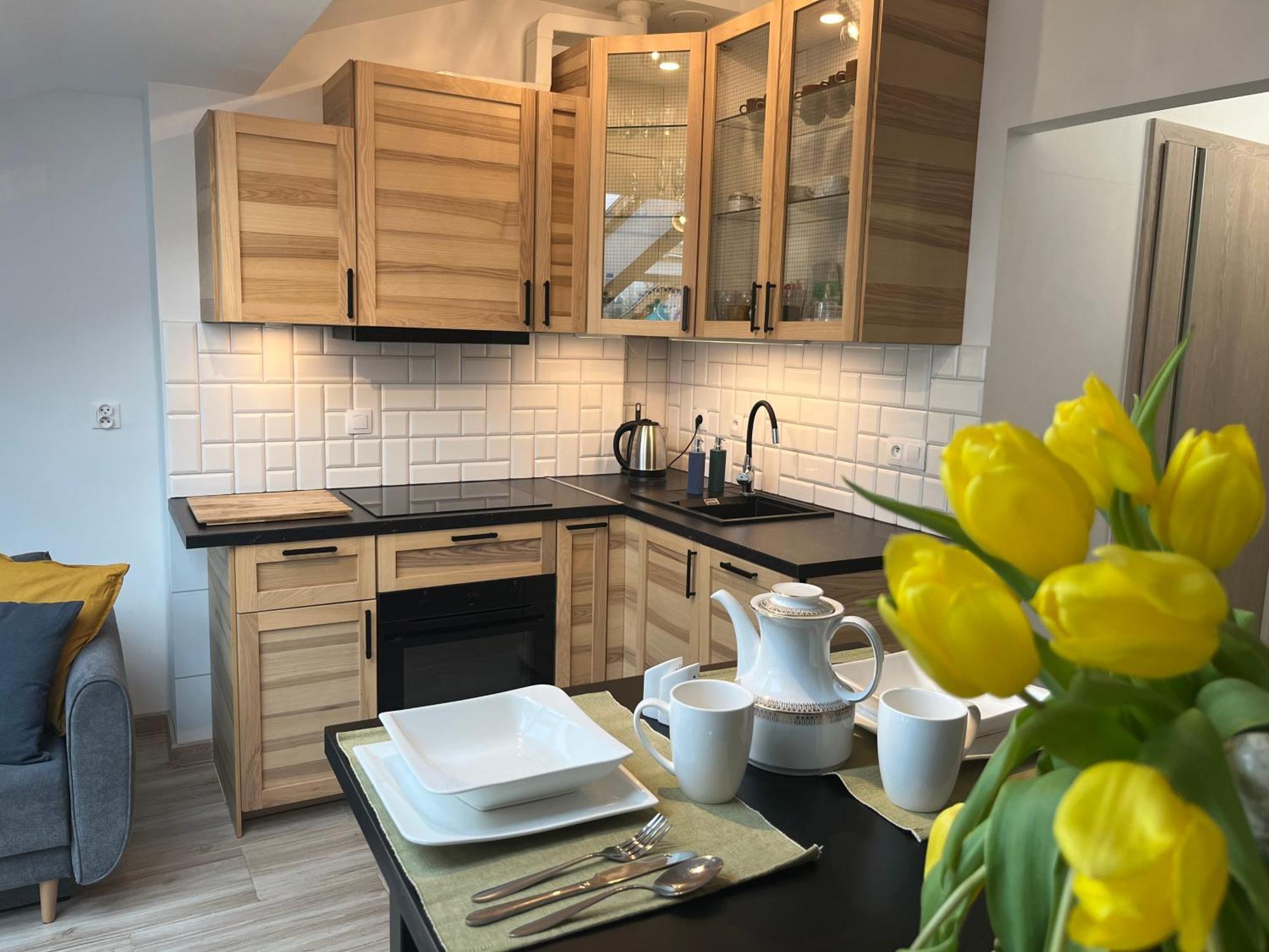 Feelhome Apartment With Kitchen Krasków Εξωτερικό φωτογραφία