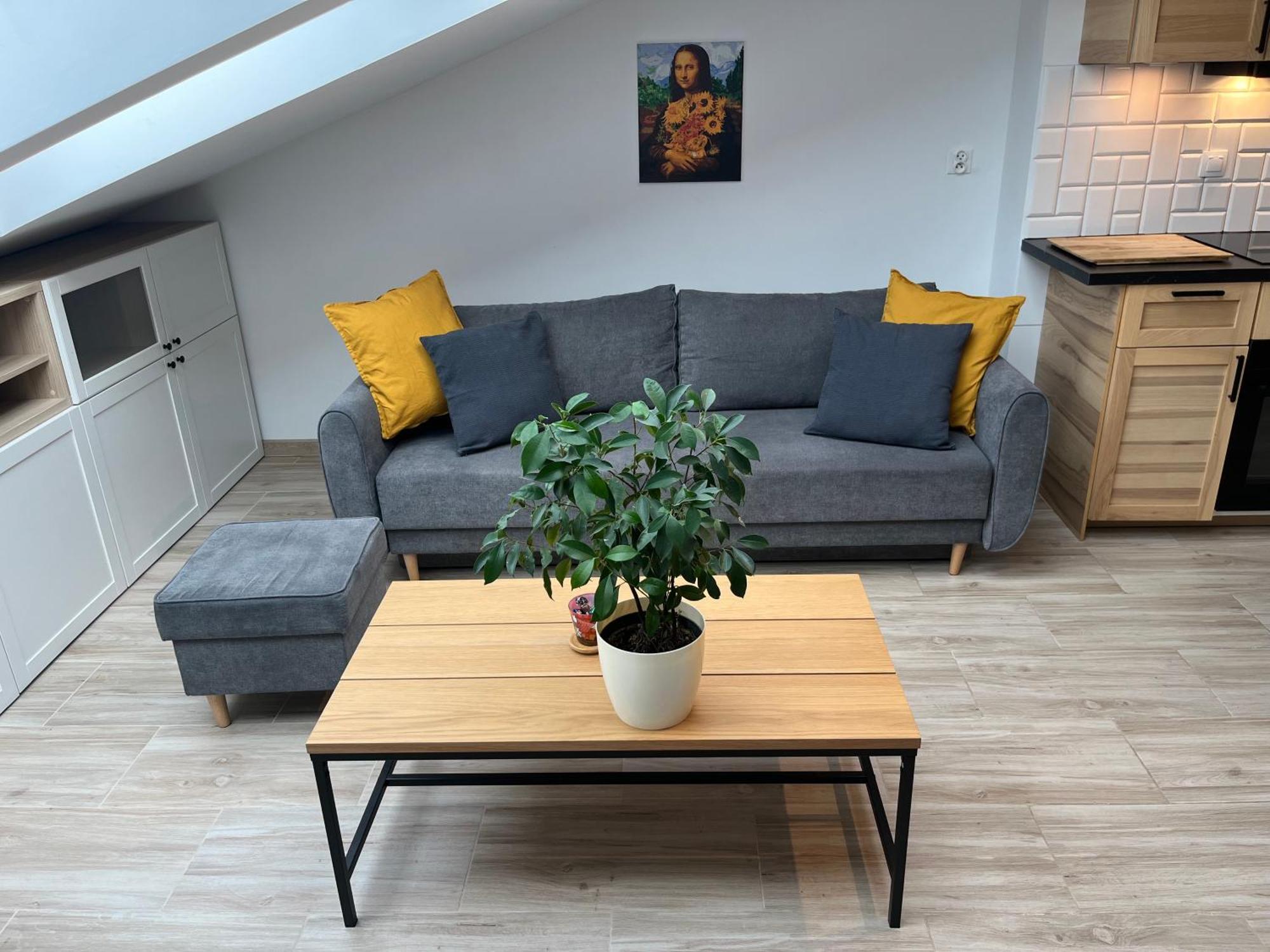 Feelhome Apartment With Kitchen Krasków Εξωτερικό φωτογραφία