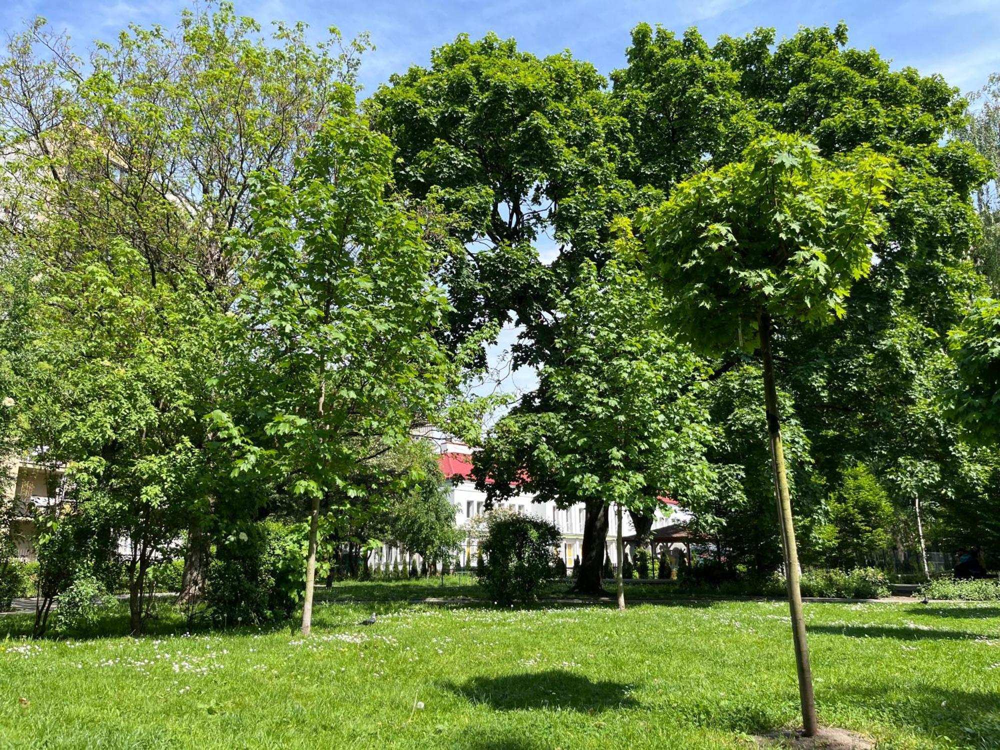 Feelhome Apartment With Kitchen Krasków Εξωτερικό φωτογραφία